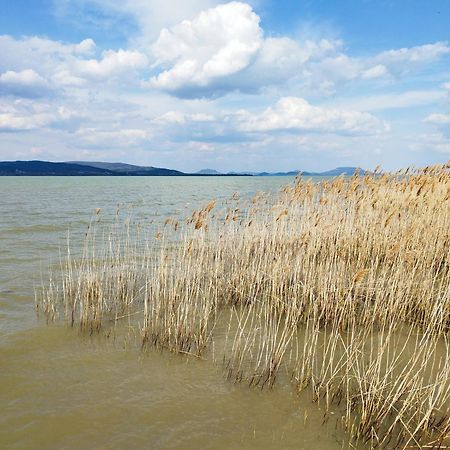 Margareta Etterem Es Vendeghaz Gasthaus Balatonbereny Ngoại thất bức ảnh